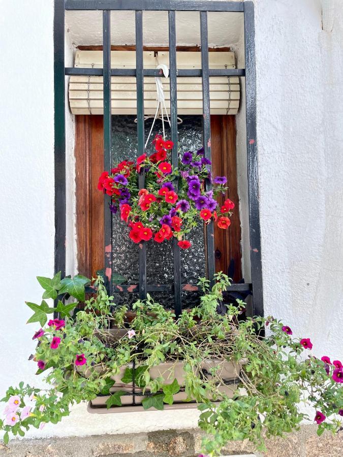 Vakantiehuis Casa Arbol *