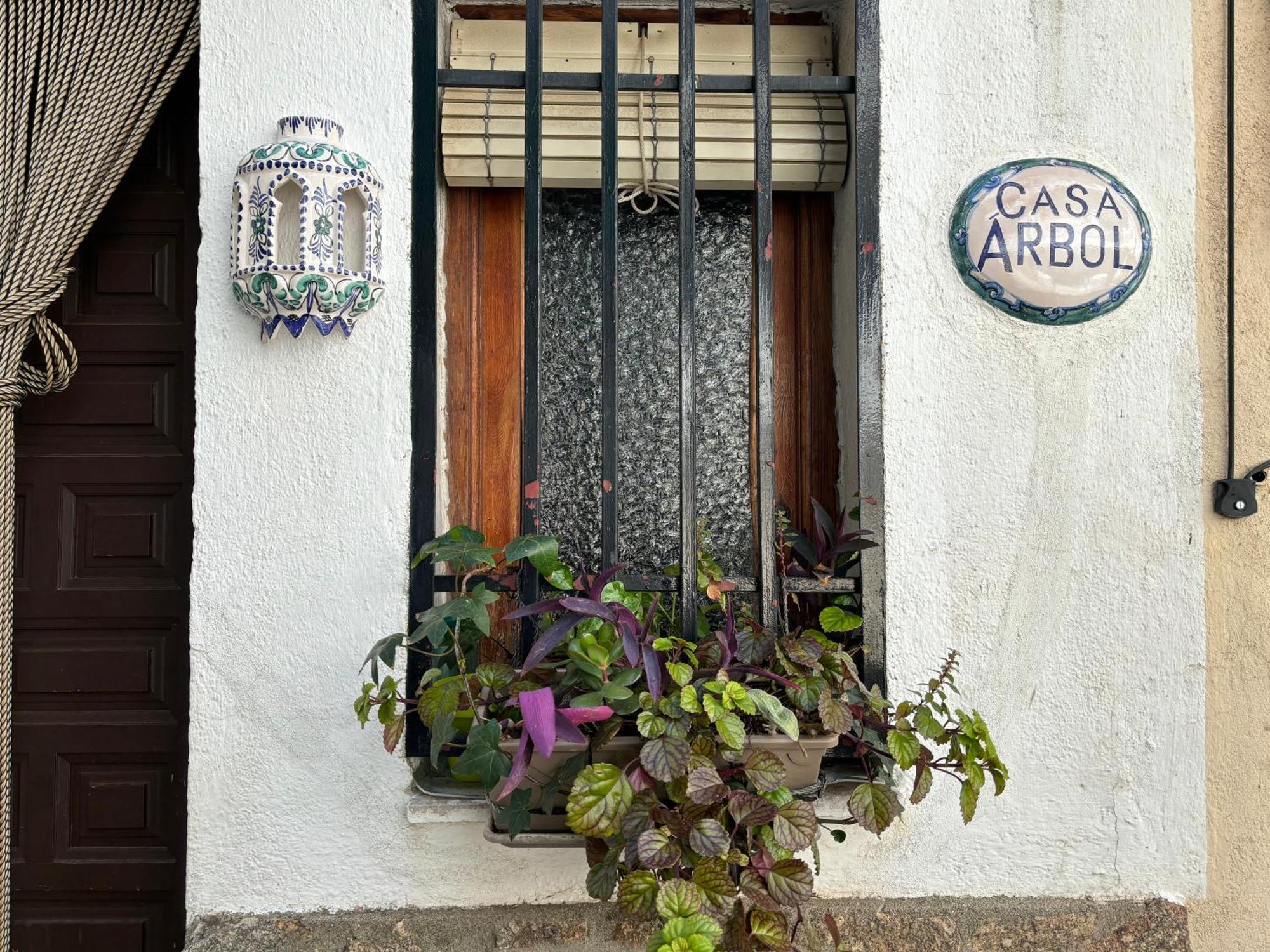 Casa Arbol Vakantiehuis Pedro Bernardo