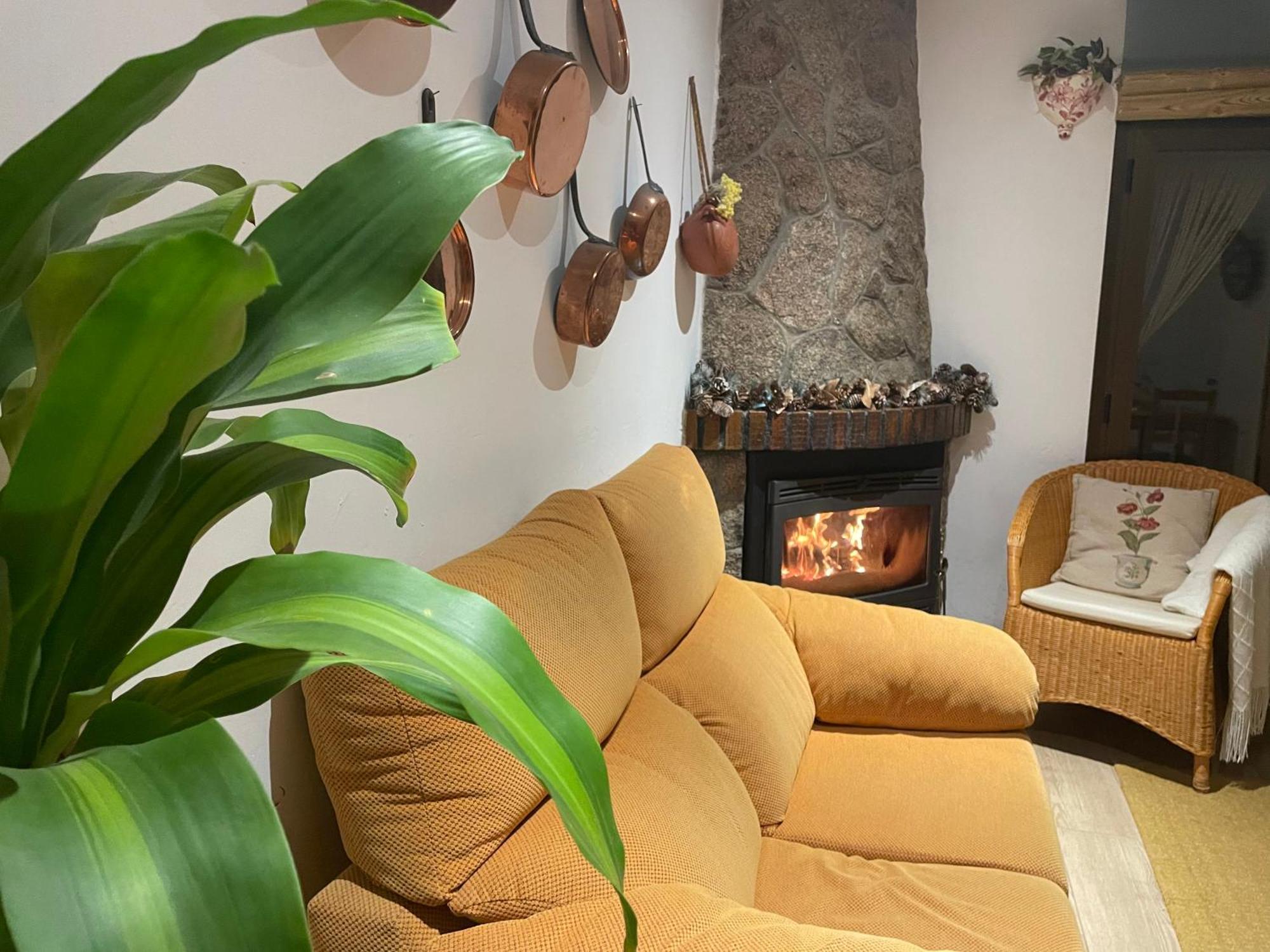 Vakantiehuis Casa Arbol *