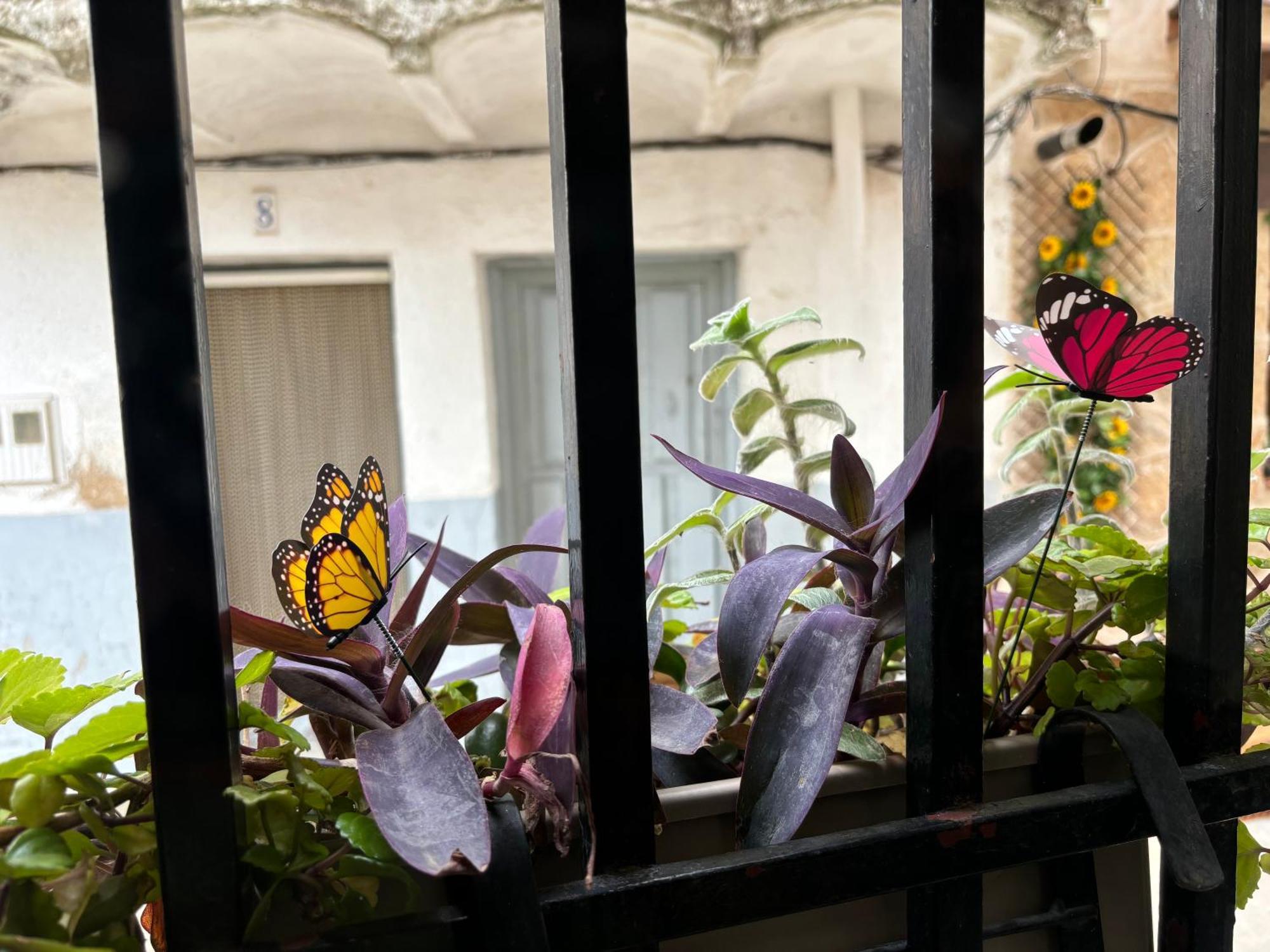 Casa Arbol * Pedro Bernardo